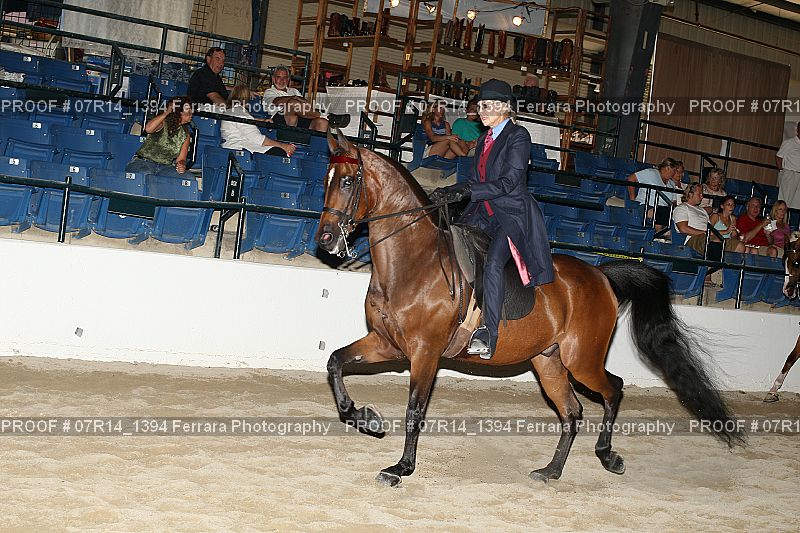 Proof 07R14_1394