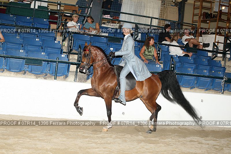 Proof 07R14_1396