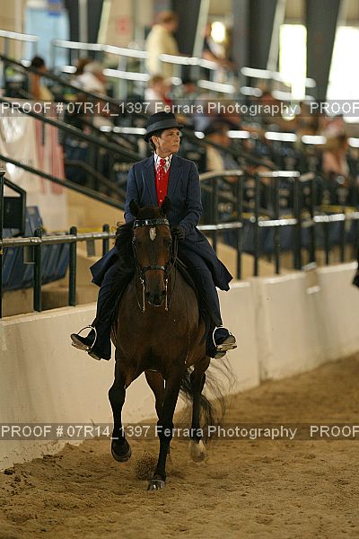 Proof 07R14_1397