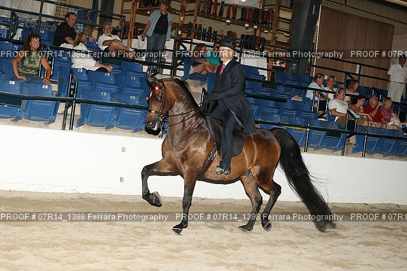 Proof 07R14_1398
