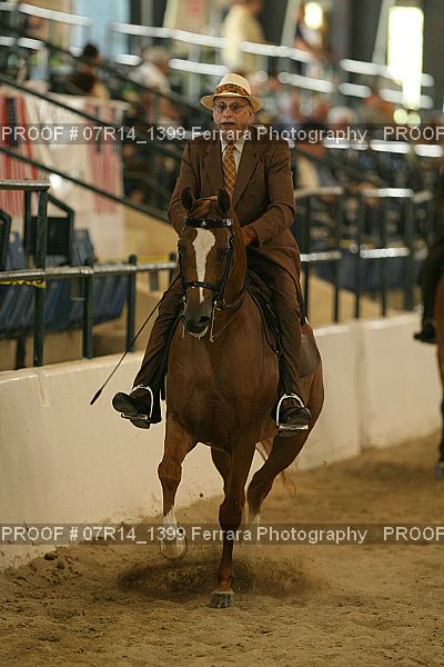 Proof 07R14_1399