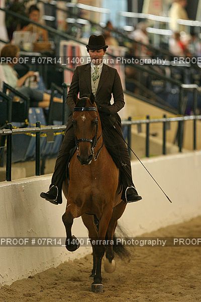 Proof 07R14_1400