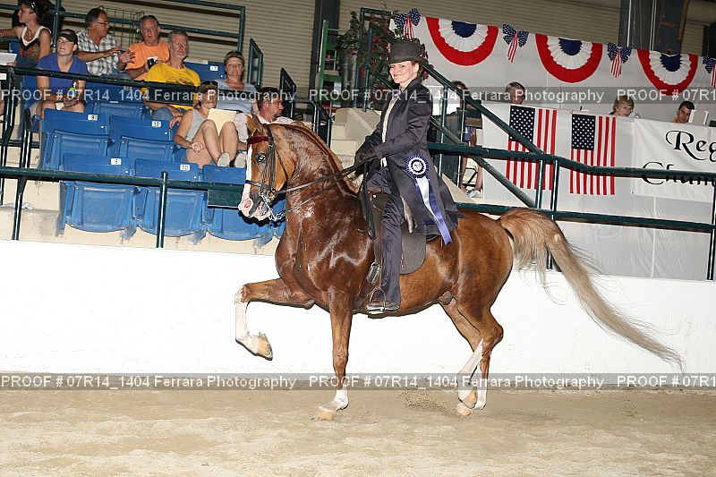Proof 07R14_1404