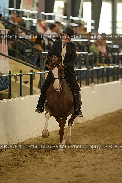 Proof 07R14_1406
