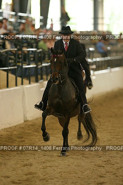 Proof 07R14_1408