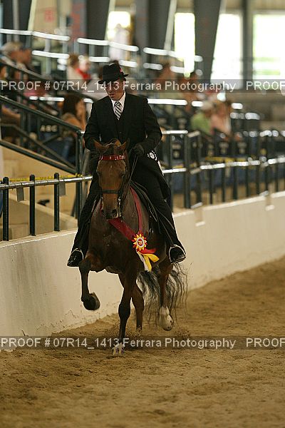 Proof 07R14_1413