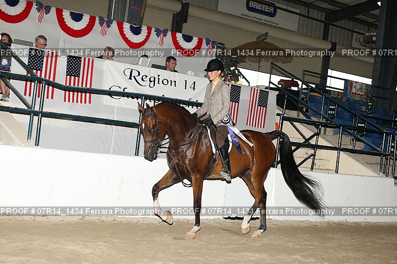 Proof 07R14_1434