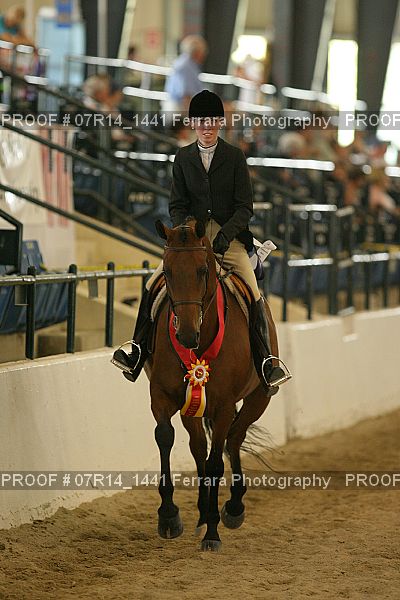 Proof 07R14_1441