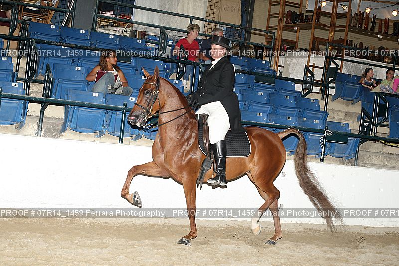 Proof 07R14_1459