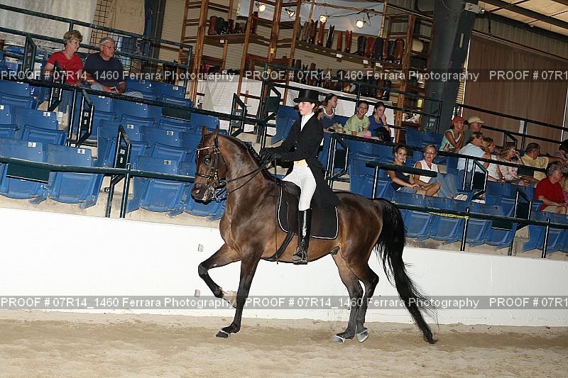 Proof 07R14_1460