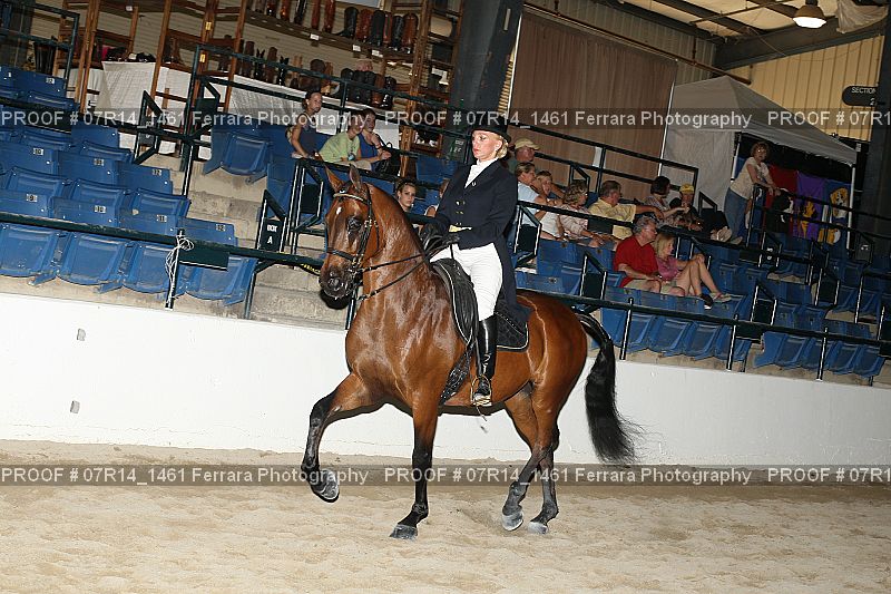 Proof 07R14_1461