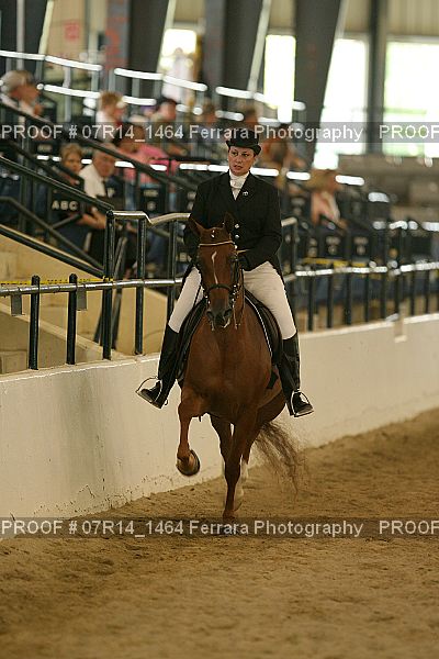 Proof 07R14_1464