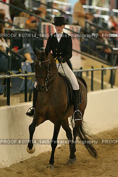 Proof 07R14_1465