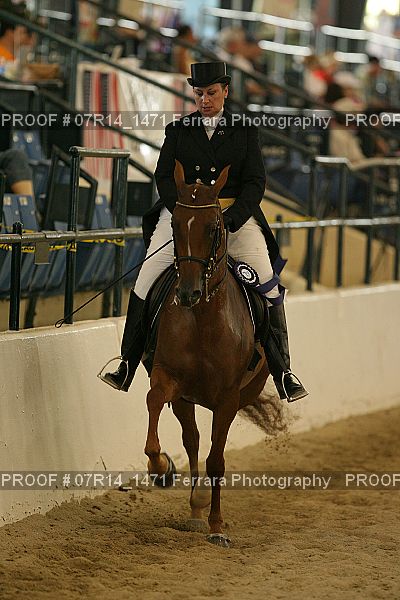 Proof 07R14_1471