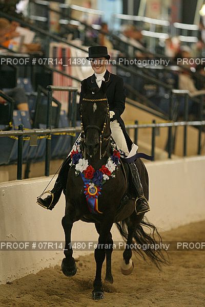 Proof 07R14_1480