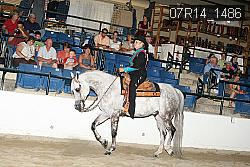 07R14_1486 proof