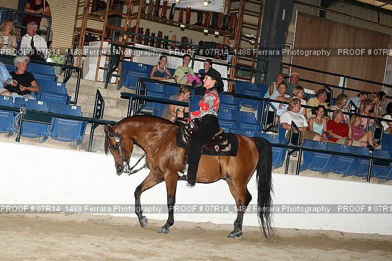Proof 07R14_1488