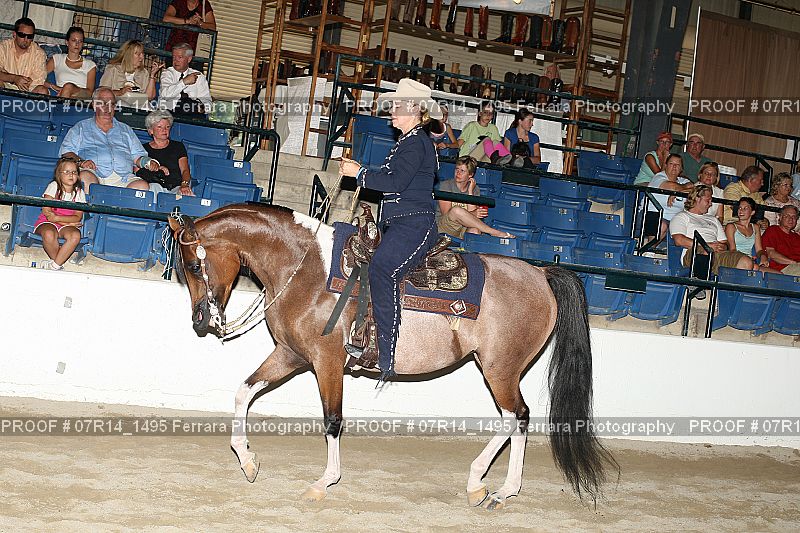 Proof 07R14_1495
