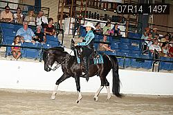 07R14_1497 proof