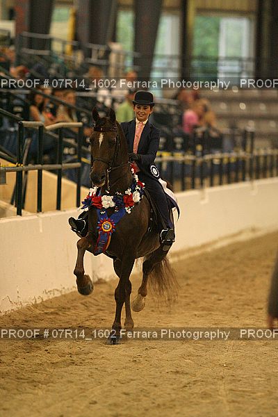 Proof 07R14_1602