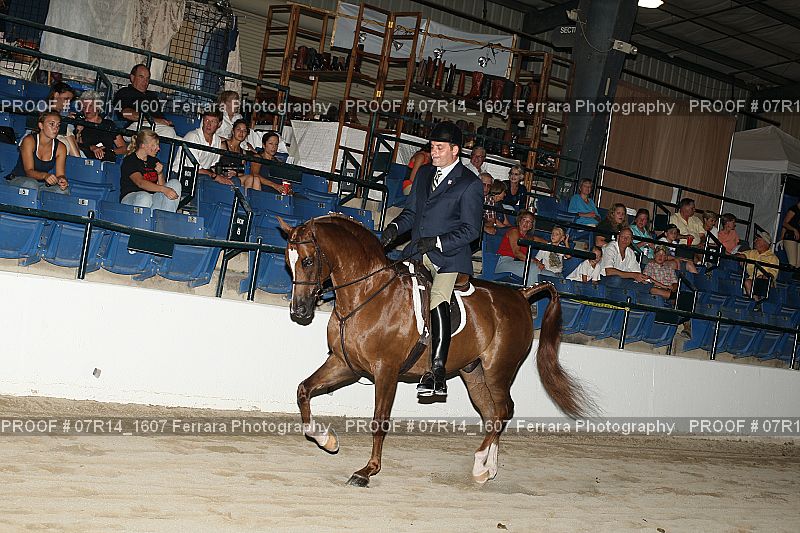 Proof 07R14_1607