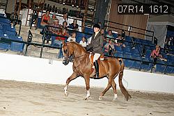 07R14_1612 proof
