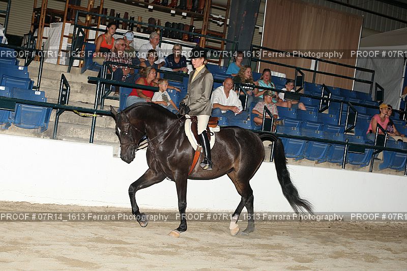 Proof 07R14_1613