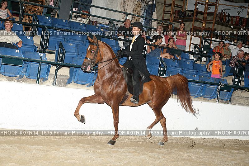 Proof 07R14_1635