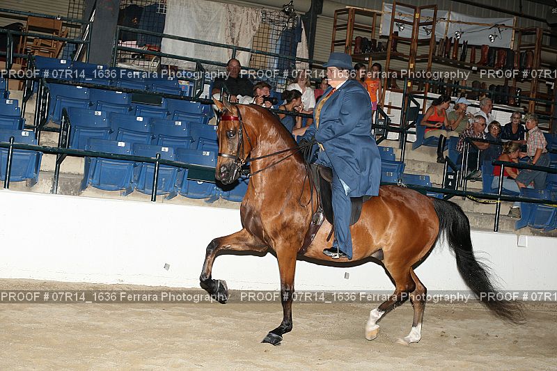 Proof 07R14_1636