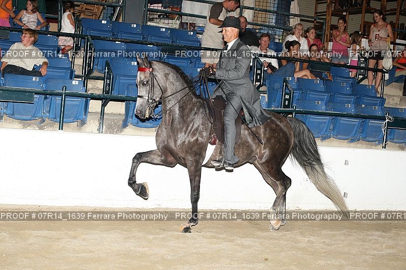 Proof 07R14_1639
