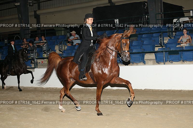 Proof 07R14_1642