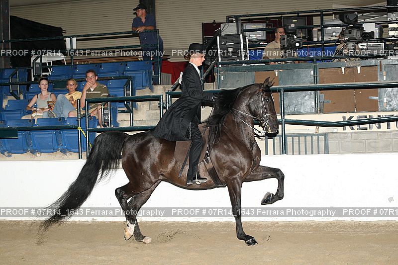 Proof 07R14_1643