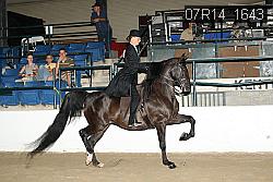 07R14_1643 proof