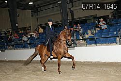 07R14_1645 proof
