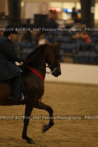 Proof 07R14_1647