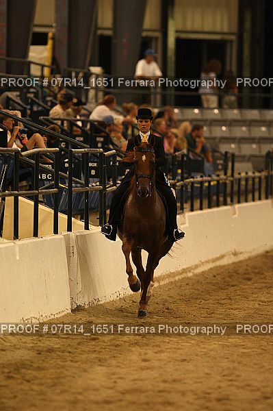 Proof 07R14_1651