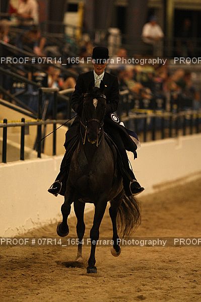Proof 07R14_1654