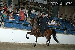 07R14_1679 proof