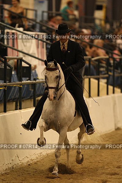 Proof 07R14_1682