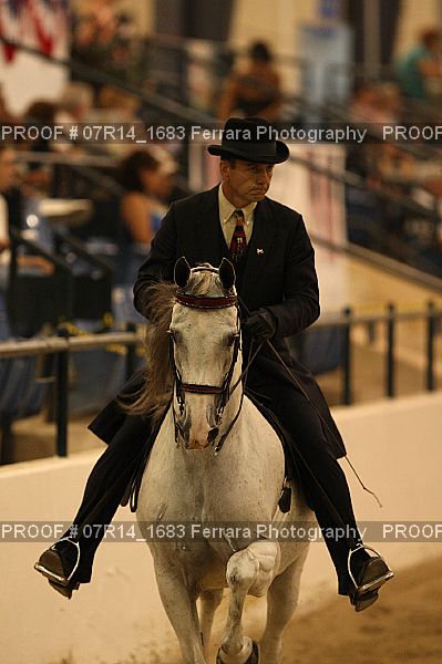 Proof 07R14_1683