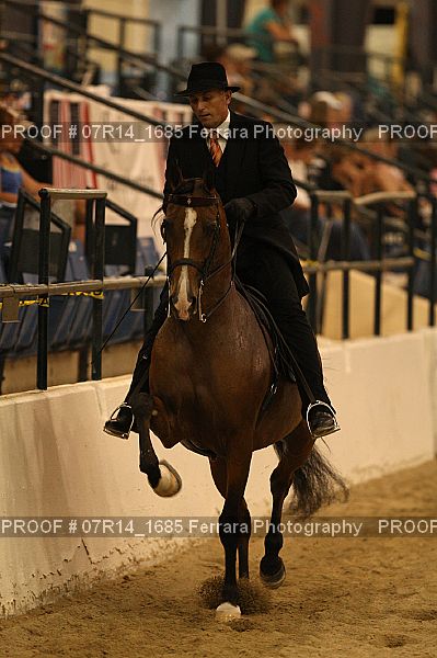 Proof 07R14_1685