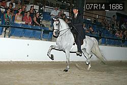 07R14_1686 proof