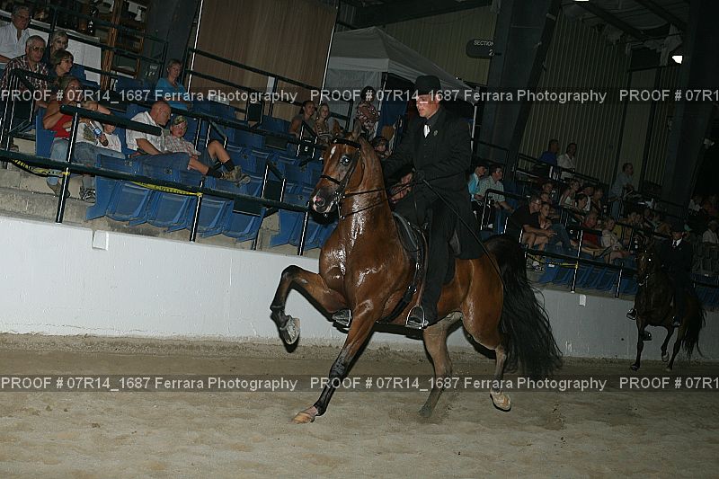Proof 07R14_1687