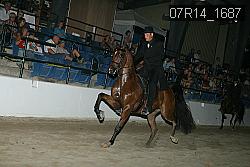 07R14_1687 proof