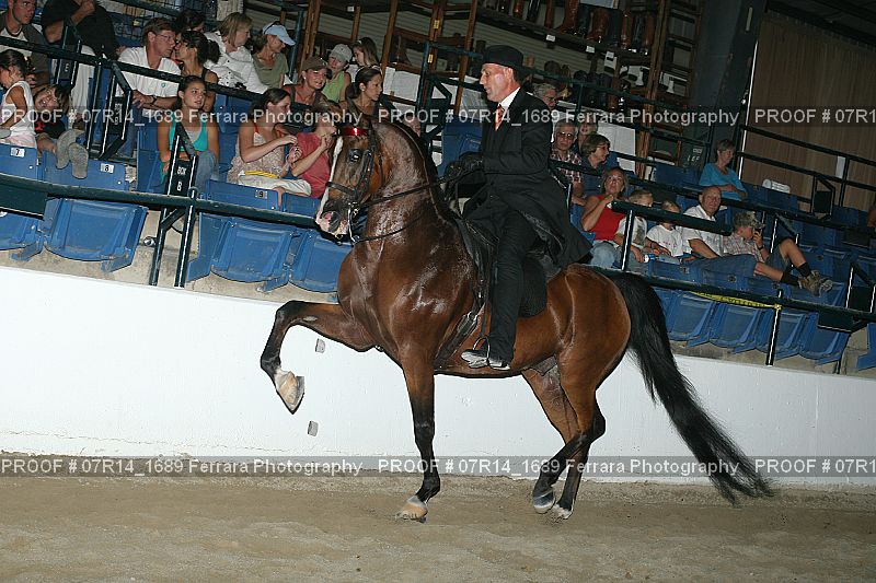Proof 07R14_1689