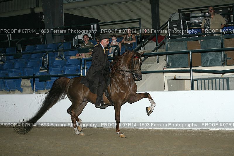 Proof 07R14_1693