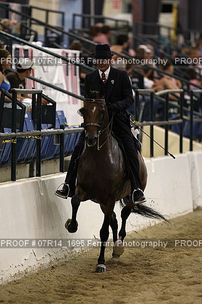 Proof 07R14_1695