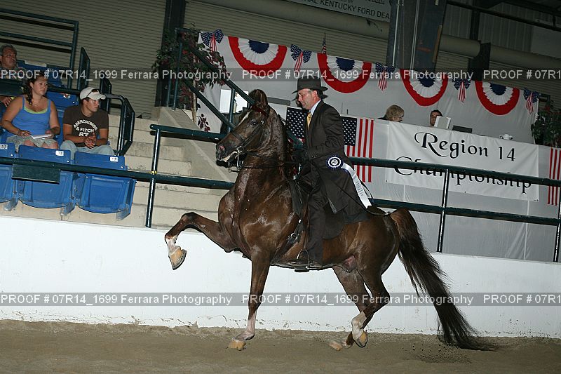 Proof 07R14_1699