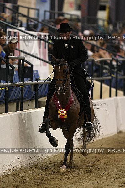Proof 07R14_1701