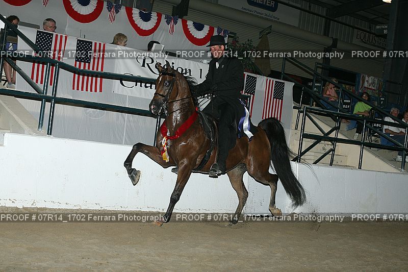 Proof 07R14_1702